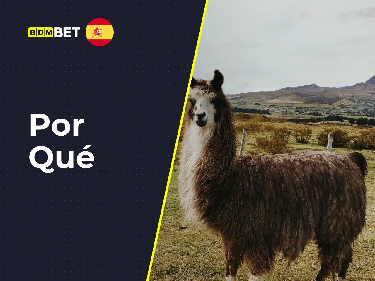 Por qué BDMBet llama la atención en el mercado español. La marca atrae la mirada en España por la promesa de bonos de bienvenida con montos elevados y la capacidad de aceptar pagos inmediatos en entor