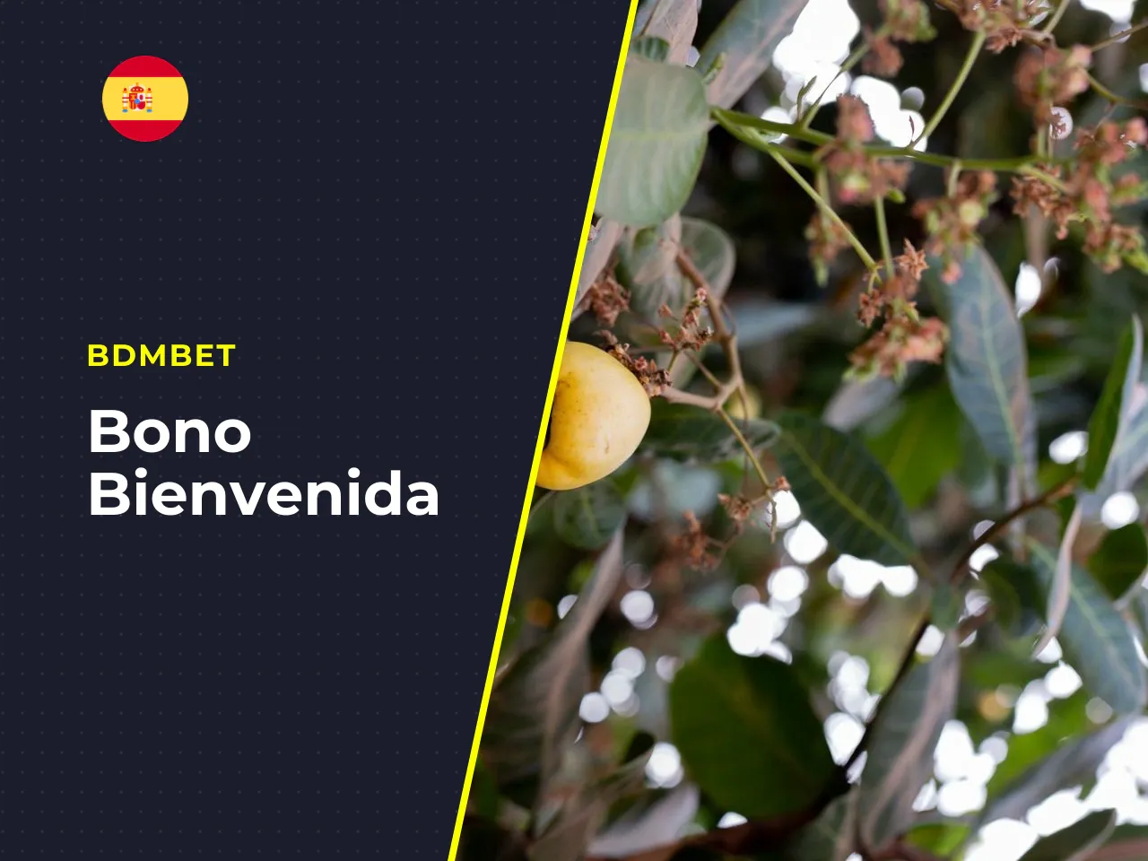 Bono de bienvenida frente a otras promociones del casino. La diferencia principal entre el bono de bienvenida y el resto de promociones radica en su carácter exclusivo para el primer contacto con el o