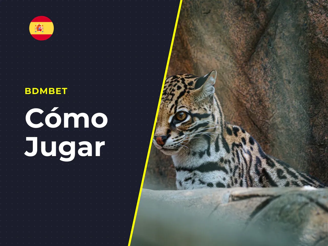 Cómo jugar Big Bass Bonanza demo gratis. La demo (modo gratuito) de Big Bass Bonanza permite jugar con fichas virtuales, sin riesgo de pérdida económica. La matemática del juego (RTP, volatilidad, fre