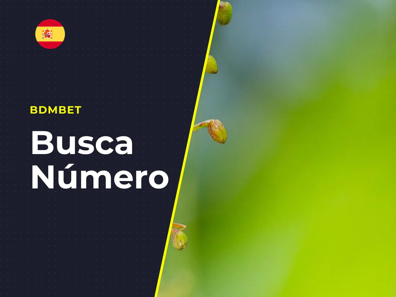 Qué revisar antes de abrir Sugar Rush en un casino online. Antes de registrarte en cualquier plataforma, comprueba estos puntos: 1. **Licencia activa:** busca el número de licencia en el pie de página