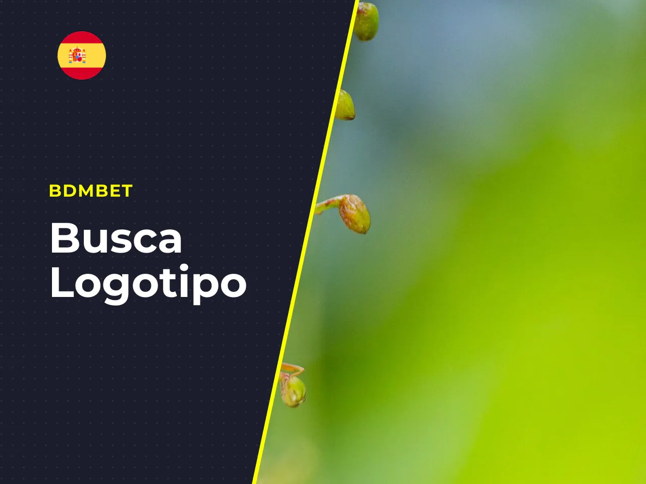 Qué revisar antes de elegir una plataforma con JetX. Antes de registrarte, comprueba estos cuatro puntos: 1. **Licencia DGOJ activa:** Busca el logotipo de «Juego Seguro» en el pie de página y verific
