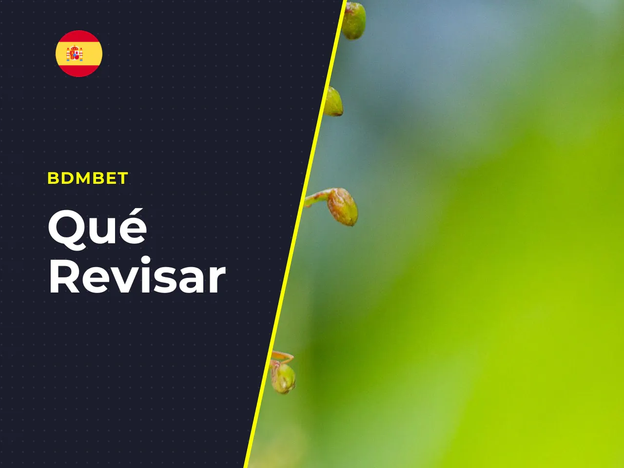 Qué revisar antes de iniciar la demo. Verifica que el indicador de la interfaz muestre la palabra "DEMO" o "PLAY FOR FUN", garantizando que tus fondos no estén entrelazados si entras desde una cuenta 