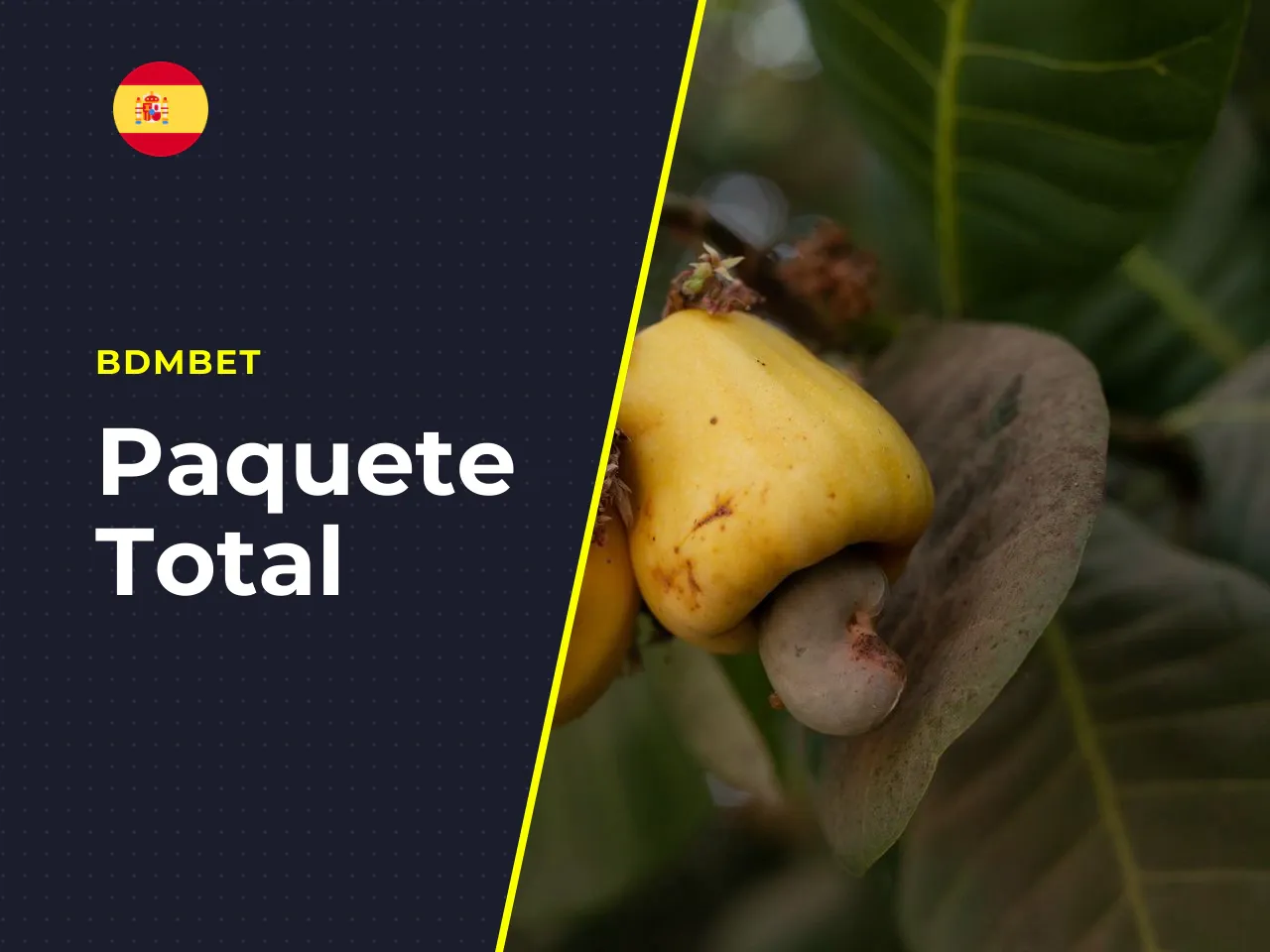 **Ventajas del bono BDMbet:** - Paquete total de hasta 1.500 € en los tres primeros depósitos. - 250 giros gratis incluidos, asignados en bloques diarios. - Cashback semanal de hasta el 25 % para juga