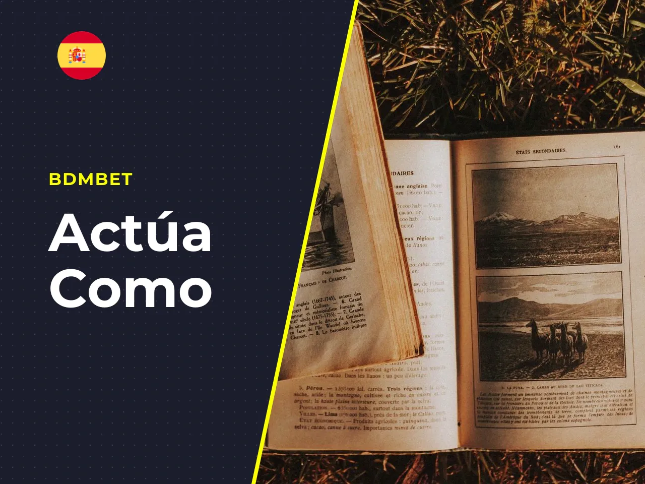 Qué diferencia a Book of Ra de otras tragamonedas. Hay cientos de slots con temática egipcia. Entonces, ¿qué hace especial a este? Sobre todo, la doble función del símbolo del Libro: actúa como wild (