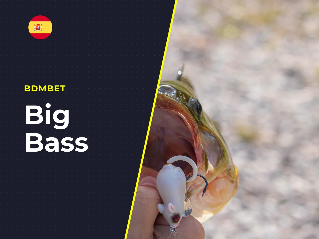 Big Bass Bonanza de Pragmatic Play. Big Bass Bonanza es un slot online desarrollado por Pragmatic Play en colaboración con el estudio Reel Kingdom. Se lanzó en 2020 y, desde entonces, ha generado una 