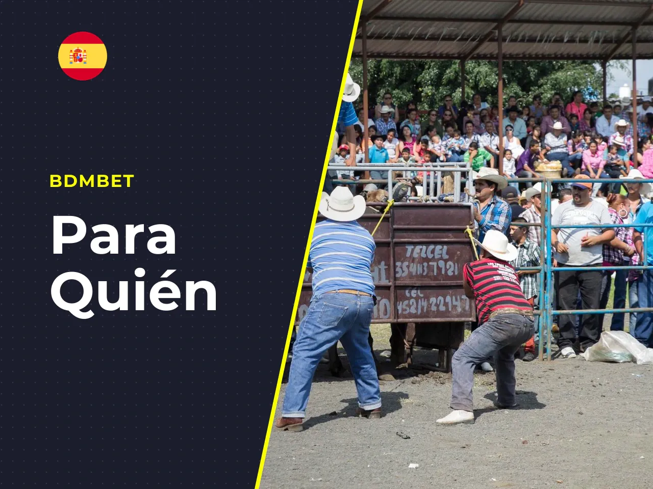 Para quién encaja este juego de casino. El perfil de jugadores de Big Bass Bonanza es amplio. La mecánica sencilla (5 carretes, 10 líneas, un solo tipo de bonus principal) lo hace accesible para **pri
